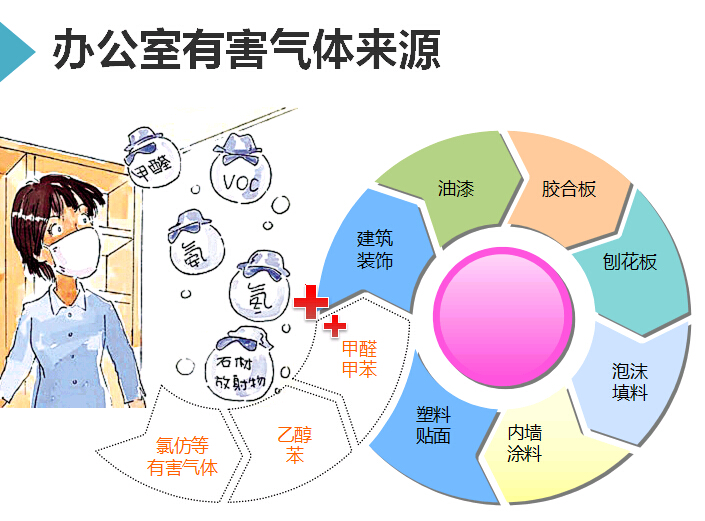 办公室除甲醛最有效的方法